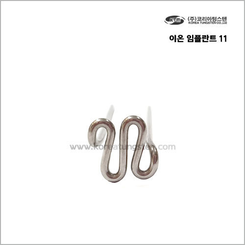 이온임플란트 11