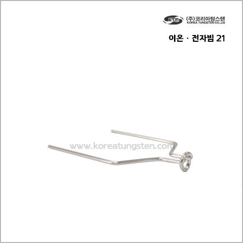 이온 · 전자빔 21