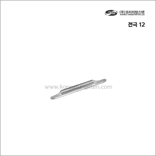 전극 12