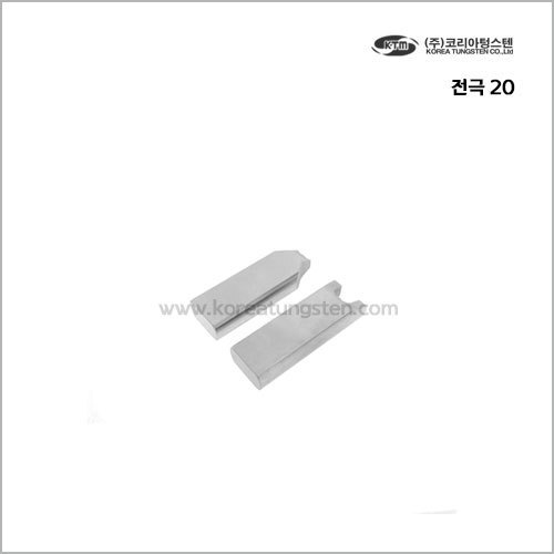 전극 20