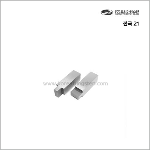 전극 21