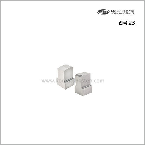 전극 23